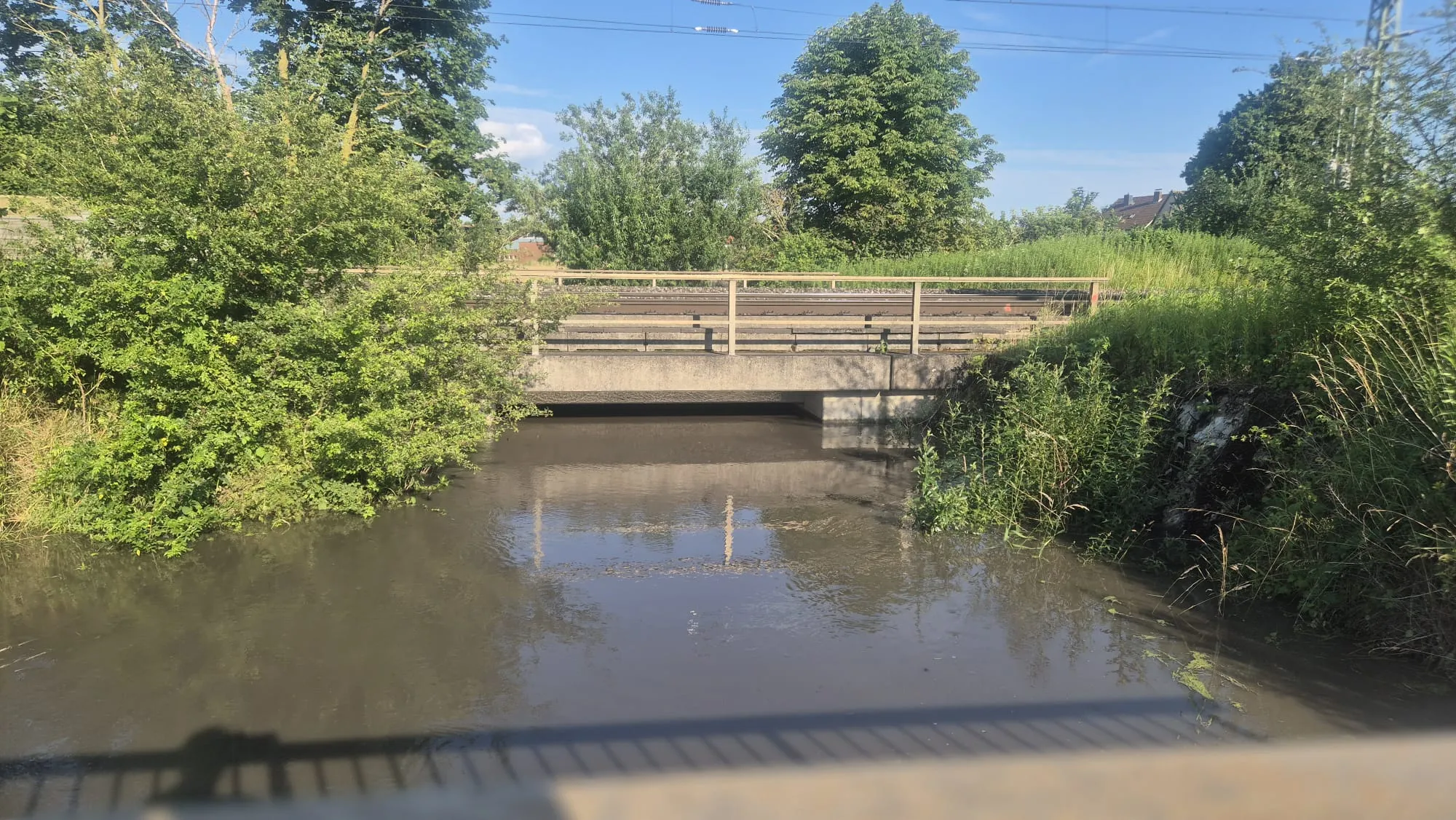 Der Rössingbach unter der Eisenbahnbrücke – das Wasser reicht fast bis an die Brückenunterkante. (29. Juni 2026)