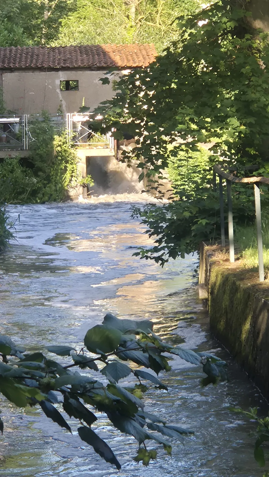 Die alte Wehranlage an der Mühle: Bei Starkregen schießt das Wasser über das Wehr – der Unterlauf kann die Massen kaum noch aufnehmen. (29. Juni 2026)