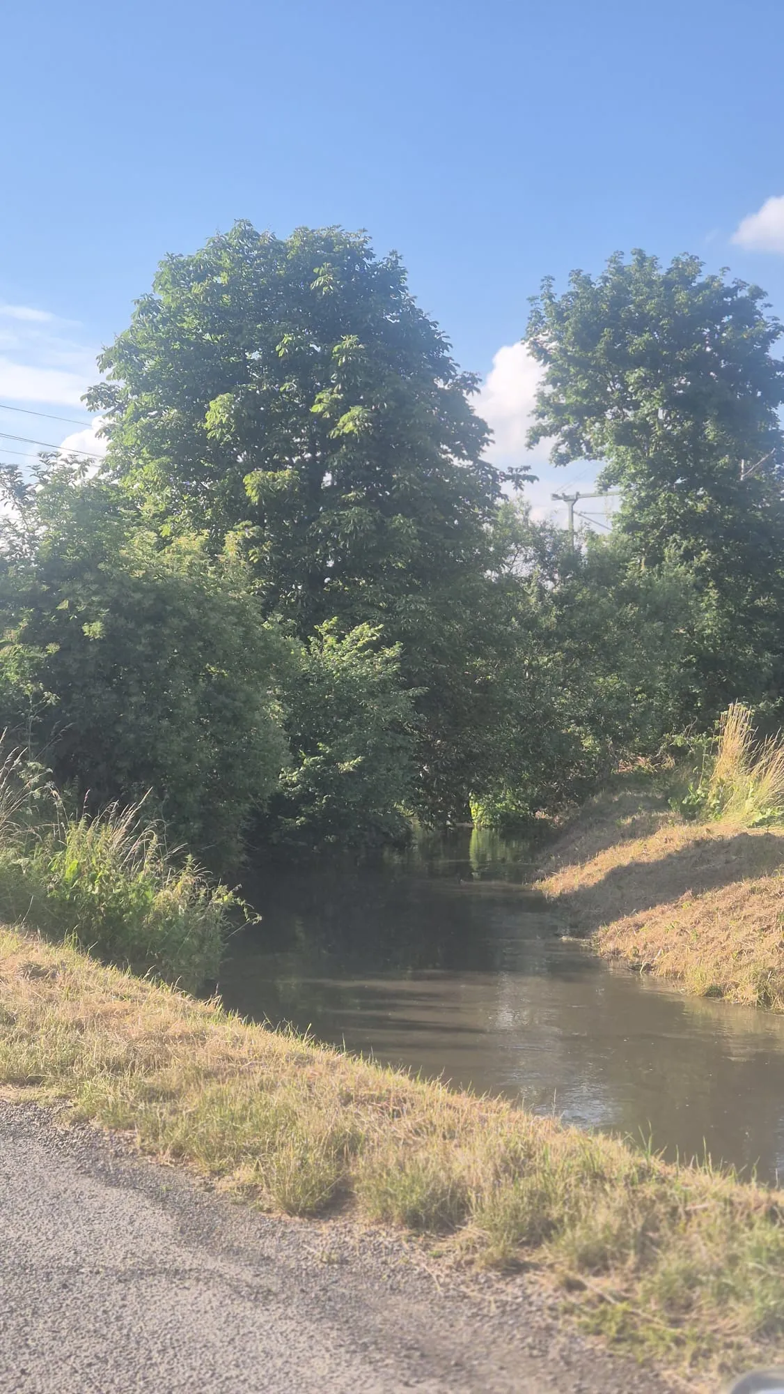 Der Rössingbach führt nach dem Gewitter Hochwasser; die Ufer und Durchlässe sind dicht zugewachsen. (29. Juni 2026)