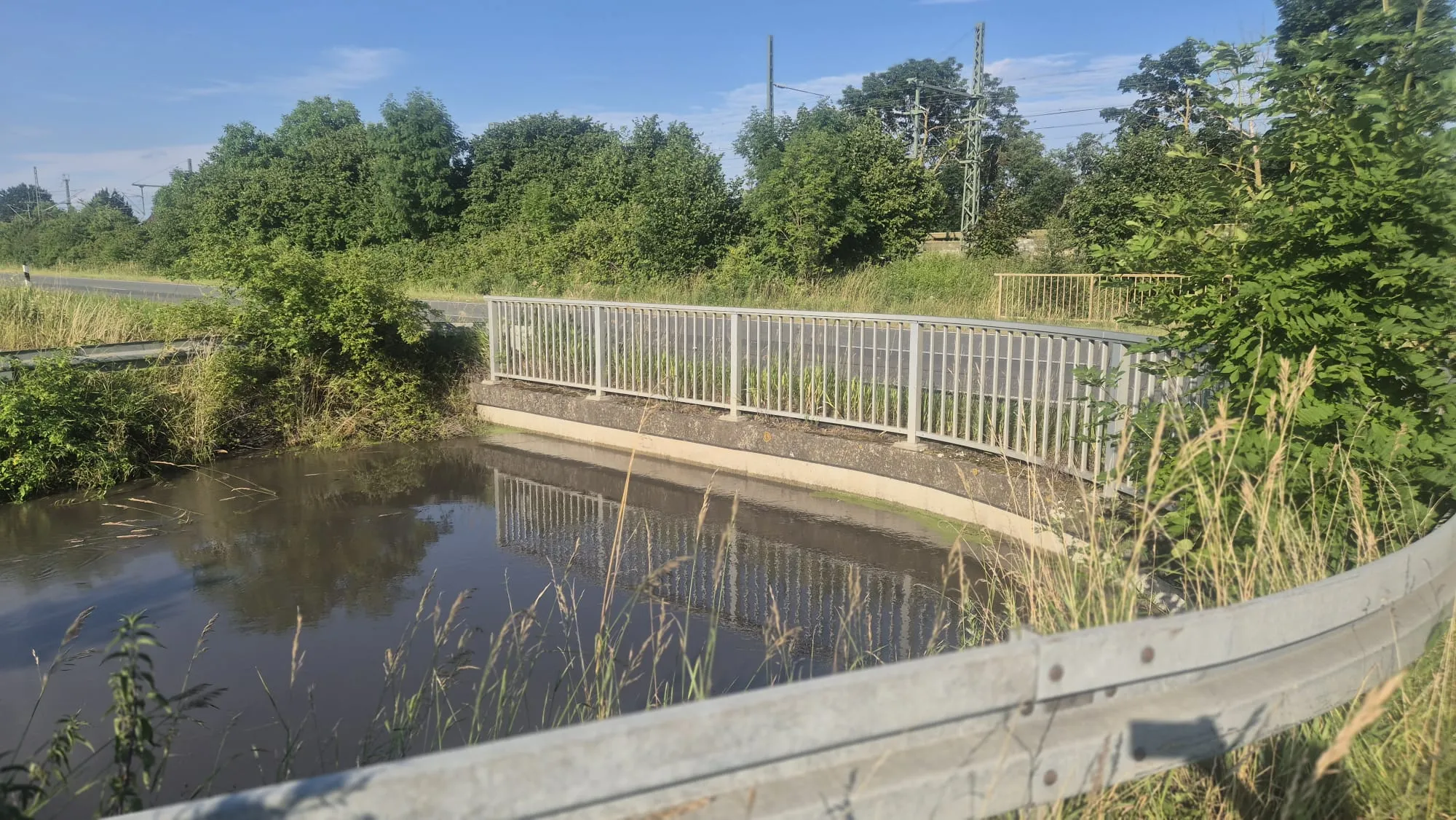 Vor der Brücke staut sich der Bach zu einem breiten Becken auf. (29. Juni 2026)